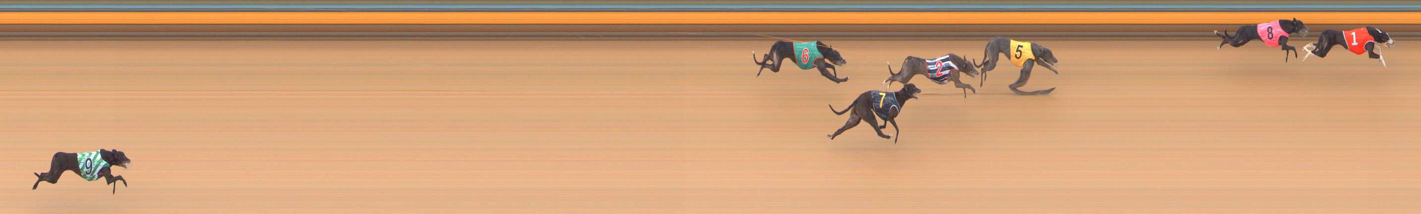 Race result finish photo